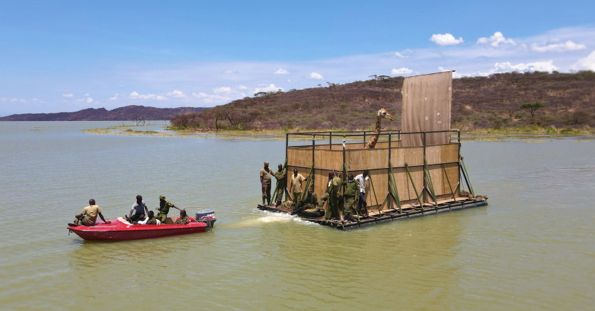 On Lake Baringo, floating to a new home